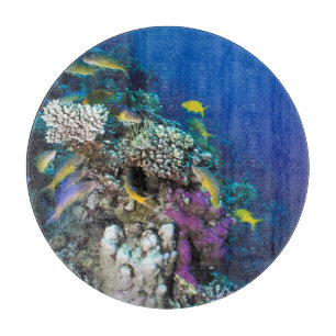 Ziegenschwarm rund um kleine Korallen Schneidebrett