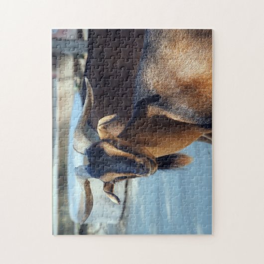 Ziegenschwarz-braun-Foto Puzzle (Vertikal)