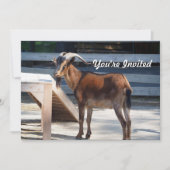 Ziegenschwarz Braune Hörner Tierprofil Geburtstag Einladung (Vorderseite)