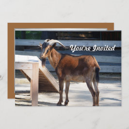 Ziegenschwarz Braune Hörner Tierprofil Geburtstag Einladung