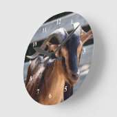 Ziegenschwarz Brawn Horns Tierisches Foto Runde Wanduhr (Winkel)