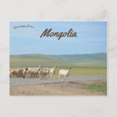 Ziegensperre in der Mongolei Postkarte (Vorderseite)