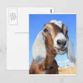 Ziegenstar 1.jpg postkarte (Vorne/Hinten)