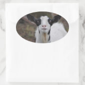 Ziegensticker Ovaler Aufkleber (Tasche)