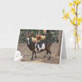 Ziegentaxi Karte (Gelbe Blume)