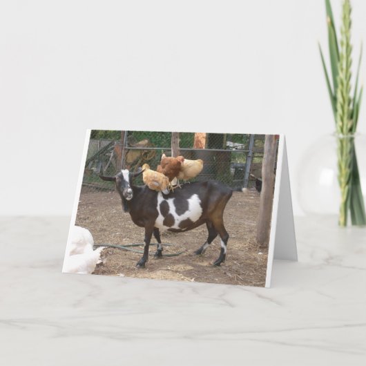 Ziegentaxi Karte (Vorderseite)