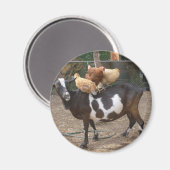 Ziegentaxi Magnet (Vorderseite/Rückseite)