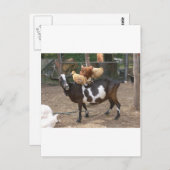 Ziegentaxi Postkarte (Vorne/Hinten)