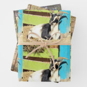 Ziegenumhüllungspapier - 3 Design-Set Geschenkpapier Set (Beispiel)