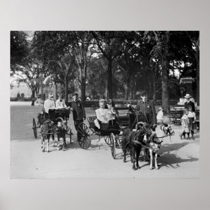 Ziegenverkehr, Anfang des 19. Jahrhunderts Poster