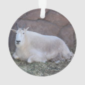 Ziegenverzierung Ornament (Rückseite)