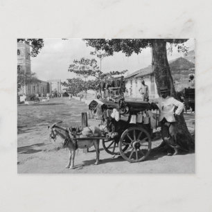 Ziegenwagenhändler, Kuba: 1920 Postkarte