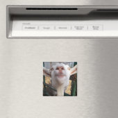 Ziegenwand Magnet (In Situ (Geschirrspüler))