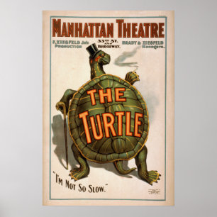 ZIEGFELD'S TURTLE Play VAUDEVILLE Poster
