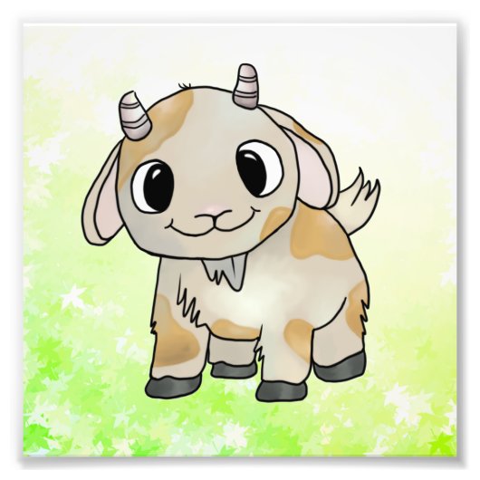 Zieglein Fotodruck (Vorne)