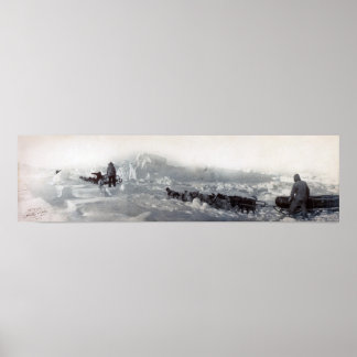 Ziegler polare Expedition Poster