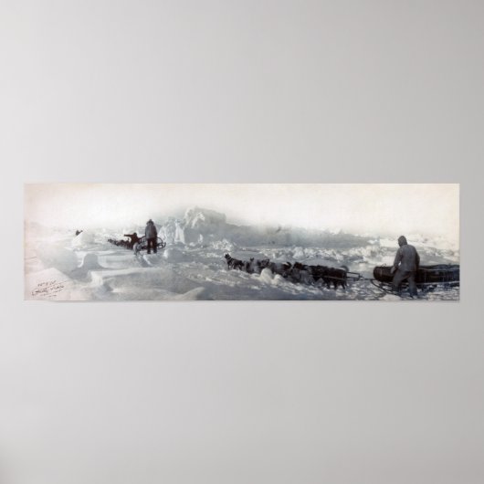 Ziegler polare Expedition Poster (Vorne)