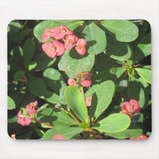 Zieh ab! Mousepad (Vorne)