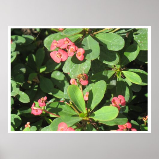 Zieh ab! Poster (Vorne)