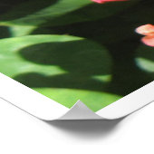 Zieh ab! Poster (Ecke)