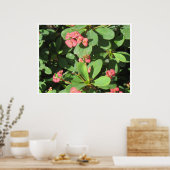 Zieh ab! Poster (Küche)