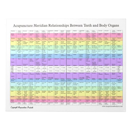 Ziehen Sie die Beziehungen der Zahnakupunktur ab. Notizblock (Vorderseite)