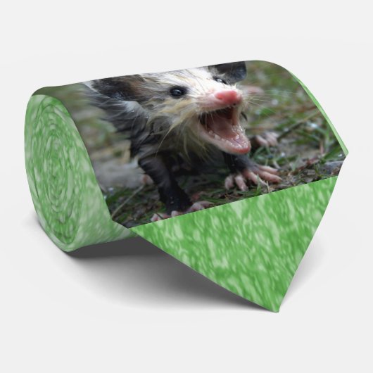 Ziehen Sie sich zurück Krawatte (Gerollt)