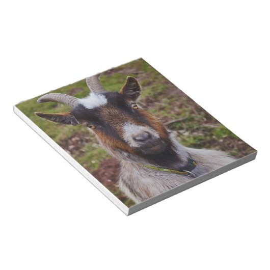 Zieht nah. notizblock (angewinkelt)