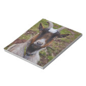 Zieht nah. notizblock (Rotiert)