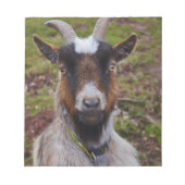 Zieht nah. notizblock (Vorderseite)