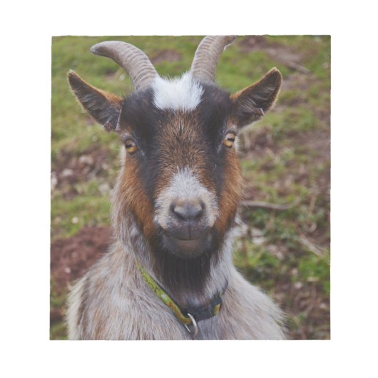 Zieht nah. notizblock (Vorderseite)