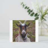 Zieht nah. postkarte (Stehend Vorderseite)