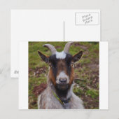 Zieht nah. postkarte (Vorne/Hinten)