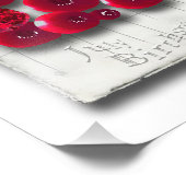 Ziel_4_Variationen auf dem Ruby Fotodruck (Ecke)