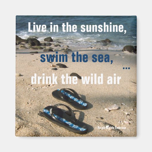 Ziele für Sonnenschein und Meereslebenszeit Magnet (Vorne)