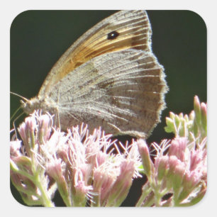 Ziemlich großer Schmetterling  Quadratischer Aufkleber