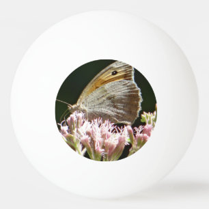 Ziemlich großer Schmetterling Tischtennisball