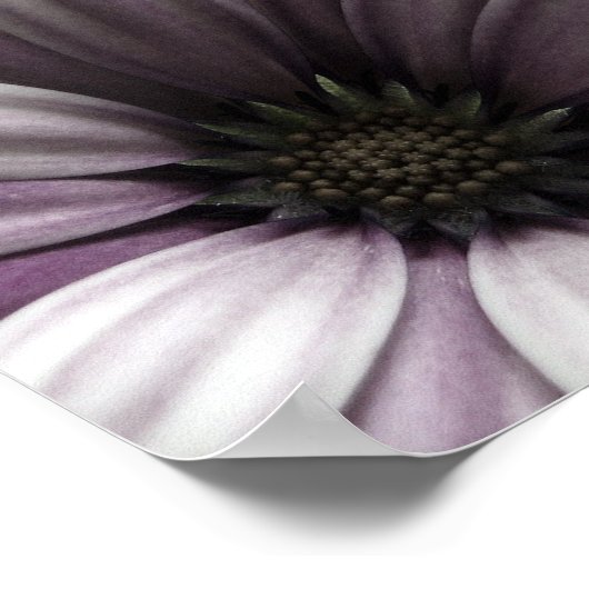 ziemlich poster (Ecke)