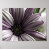 ziemlich poster (Vorne)