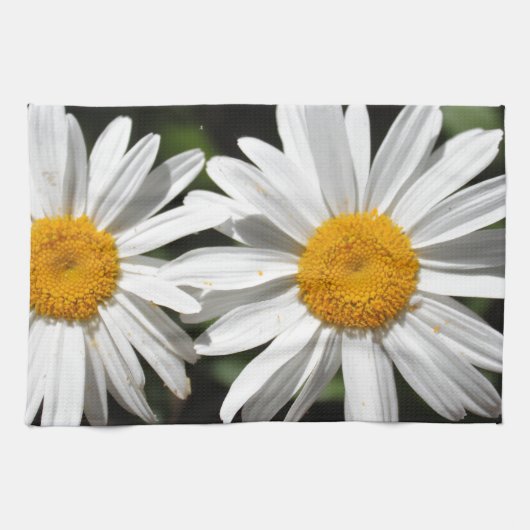 Ziemlich reine weiße Gänseblümchen-Blüten Küchentuch (Horizontal)