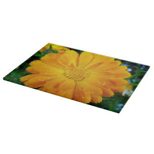 ziemlich volle Blüten Sommer gelbe Margerite Blume Schneidebrett