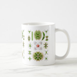 Zieralgen Kaffeetasse