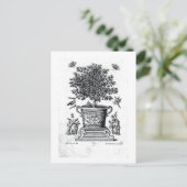 Zierbaum in einer Urne auf einer kleinen Bühne (Gr Postkarte (Stehend Vorderseite)