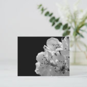 Zierbirne ... postkarte (Stehend Vorderseite)