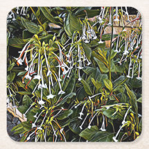 Zierblütenpapier-Untersetzer