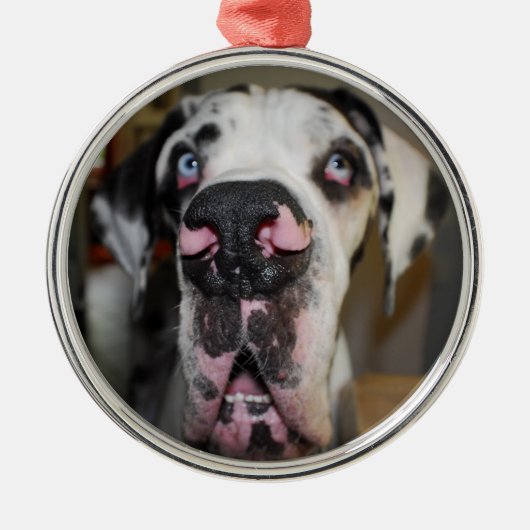 Zierdoggen Ornament Aus Metall (Vorne)