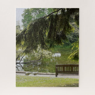 Zierente Duck Pond Jigsaw Puzzle