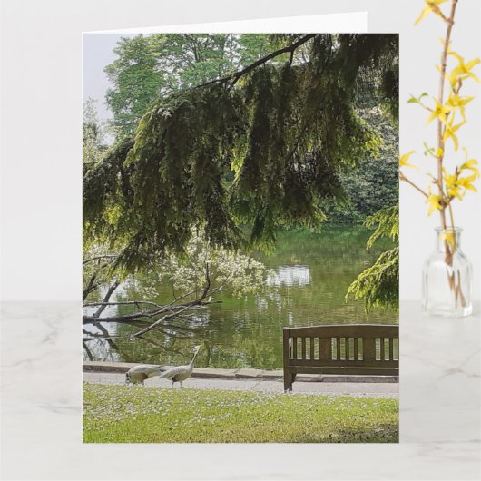 Zierente Karte (Gelbe Blume)