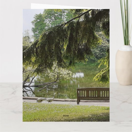 Zierente Karte (Rückseite)