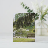 Zierente Postkarte (Stehend Vorderseite)